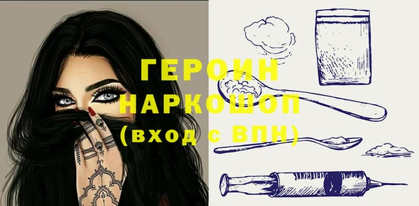 индика Арсеньев