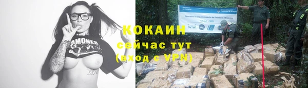 индика Арсеньев