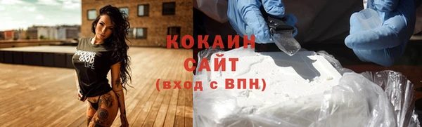 индика Арсеньев