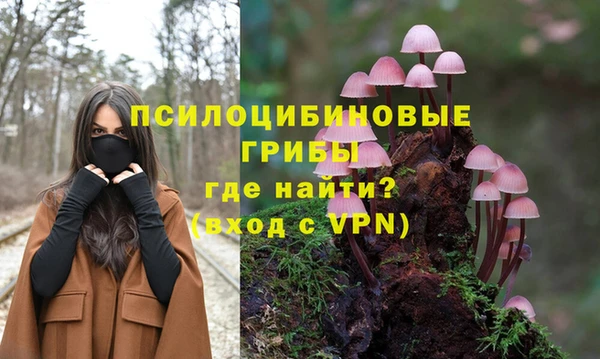 индика Арсеньев