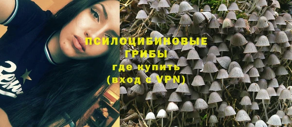 индика Арсеньев