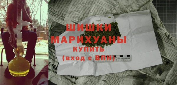 индика Арсеньев