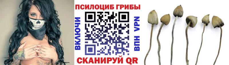 Псилоцибиновые грибы Magic Shrooms  Пустошка 